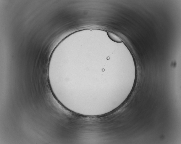 X0000115001244200911231157