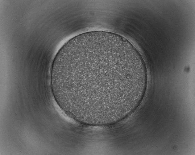 X0000115001246200911231157