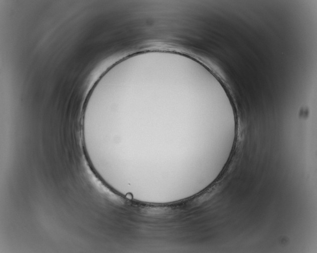 X0000115001247200911231157