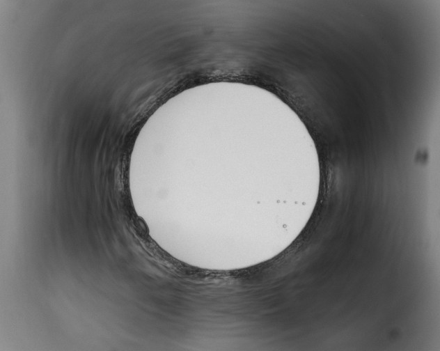 X0000115001250200911231157