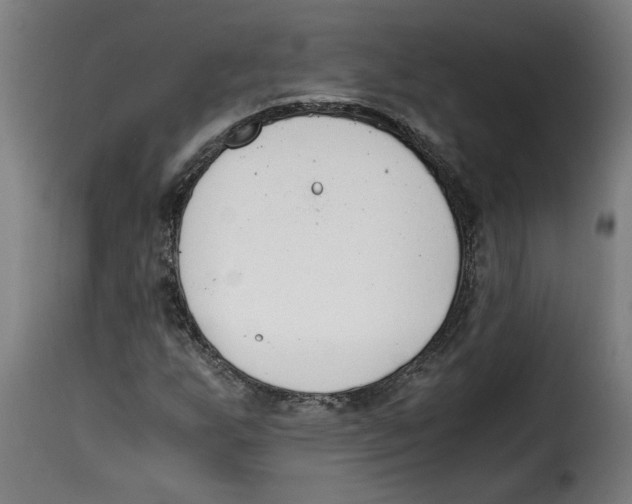 X0000115001255200911231156