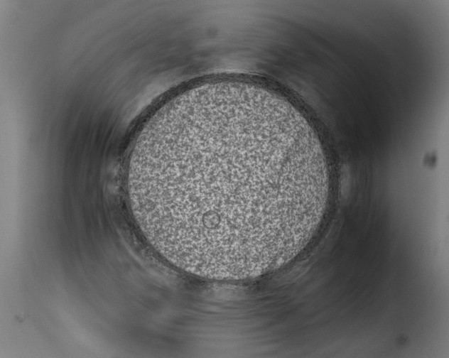 X0000115001258200911231156