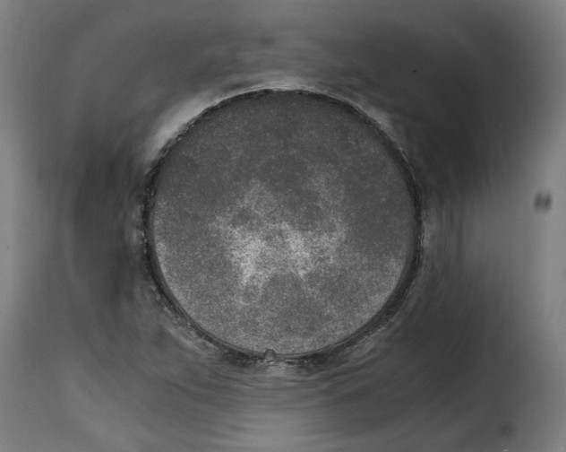 X0000115001263200911231156