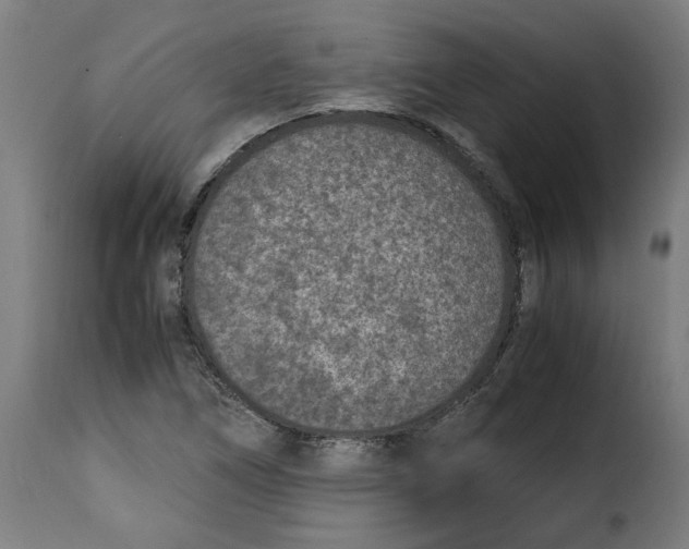 X0000115001266200911231156