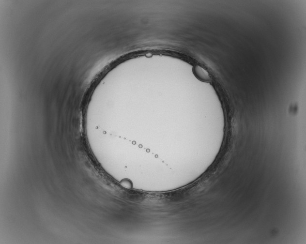 X0000115001267200911231156