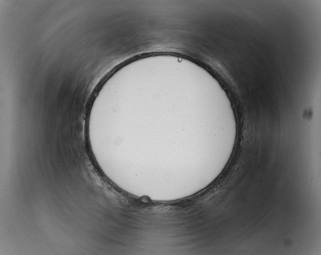 X0000115001268200911231156