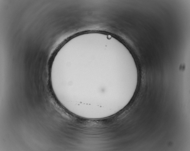 X0000115001270200911231156