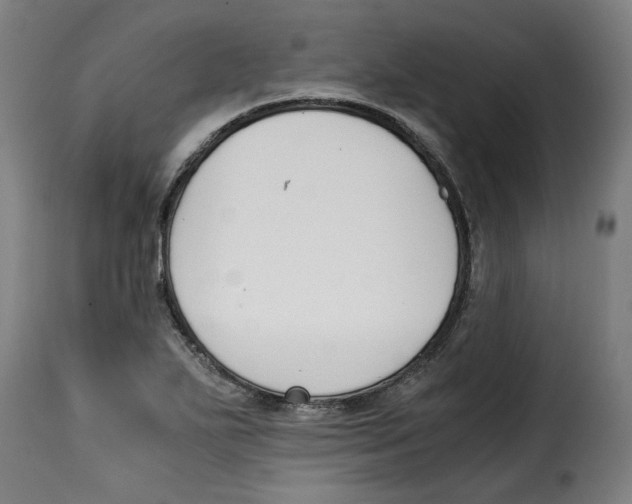 X0000115001271200911231156