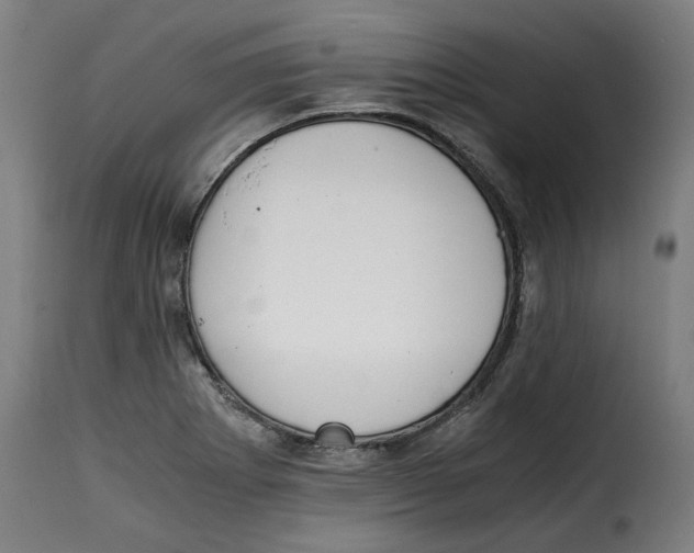 X0000115001273200911231156