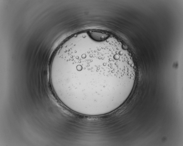 X0000115001274200911231156