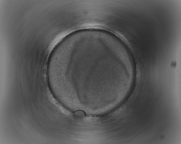 X0000115001277200911231156