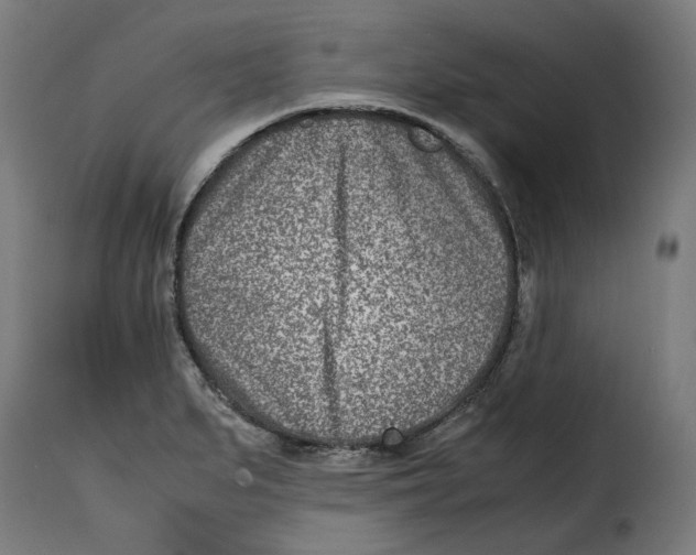 X0000115001279200911231156