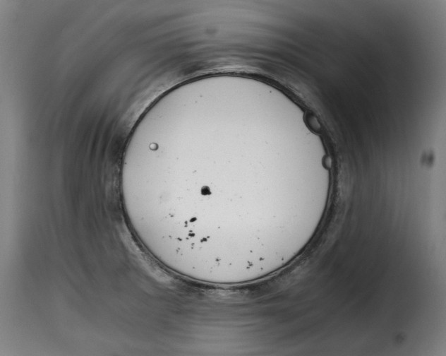 X0000115001281200911231156