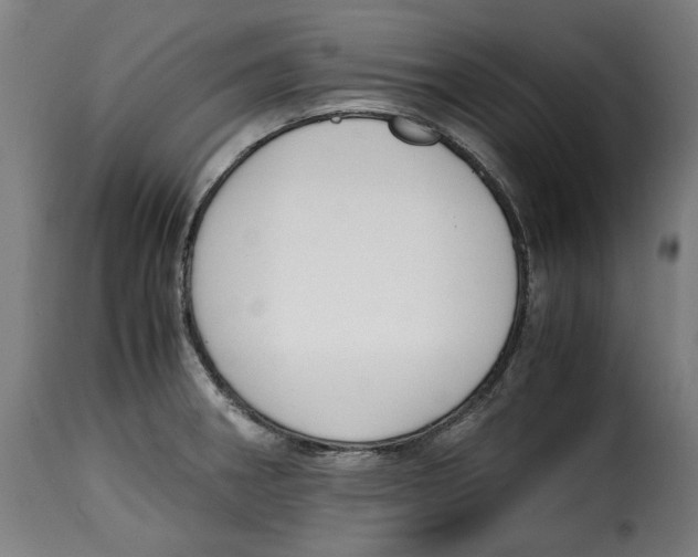 X0000115001282200911231156