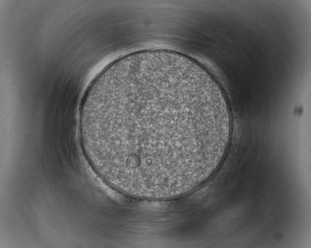 X0000115001286200911231156