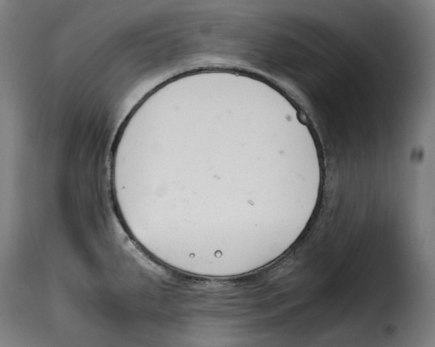 X0000115001287200911231156