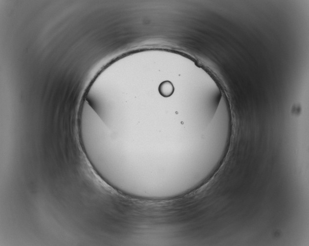 X0000115001288200911231156