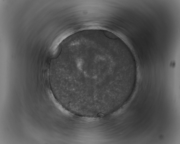 X0000115001289200911231156