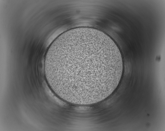 X0000115001290200911231156