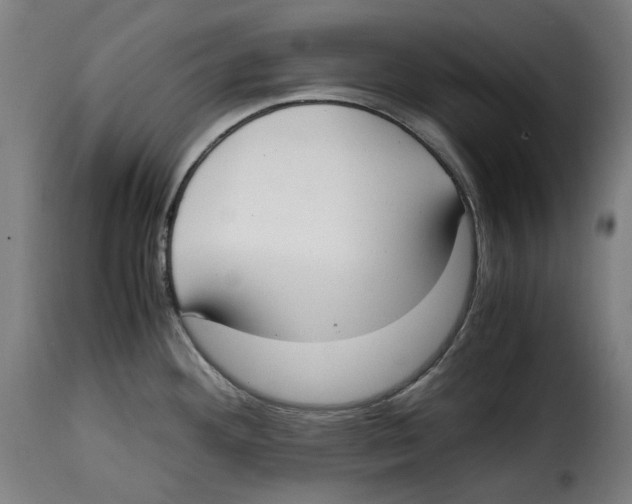 X0000115001292200911231156