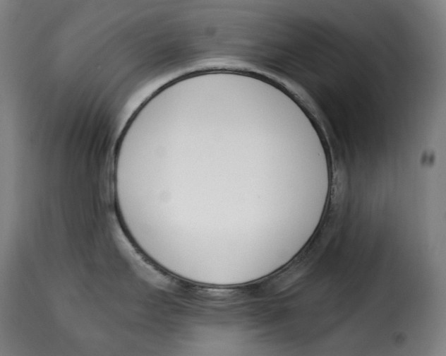 X0000115001295200911231156