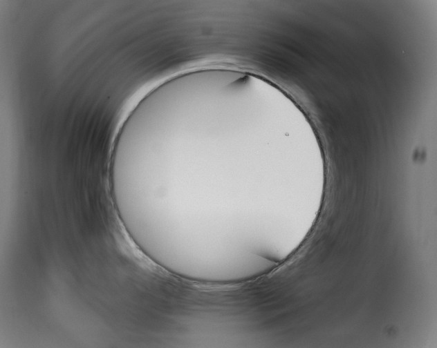 X0000115001296200911231156