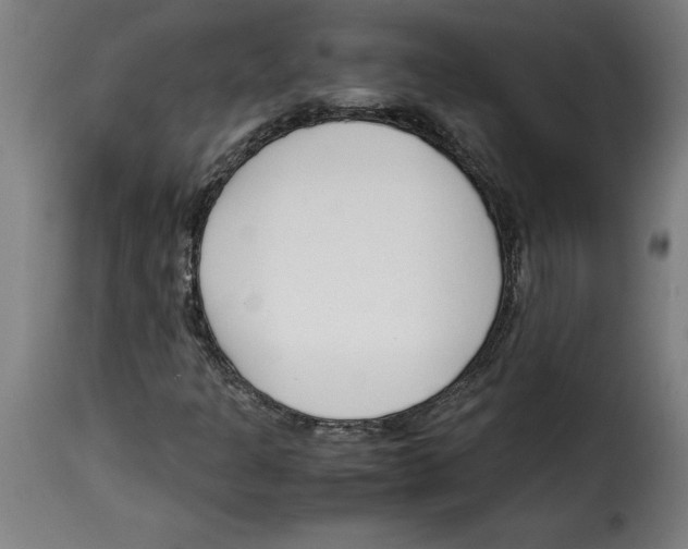 X0000115001301200911231155