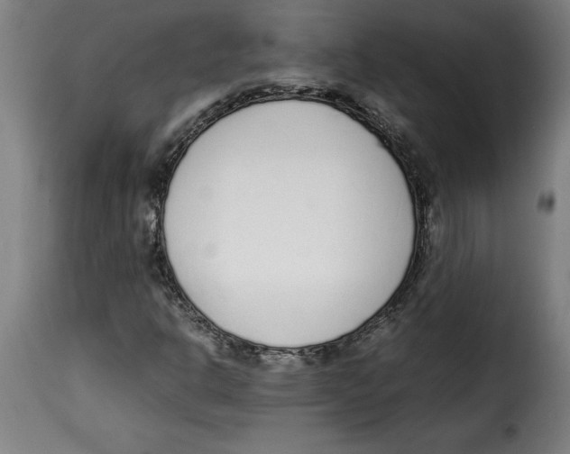 X0000115001302200911231155