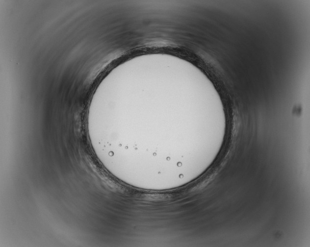 X0000115001305200911231155