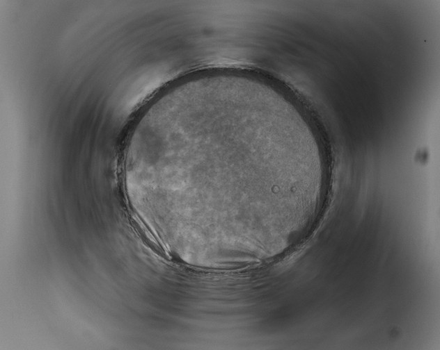 X0000115001306200911231155