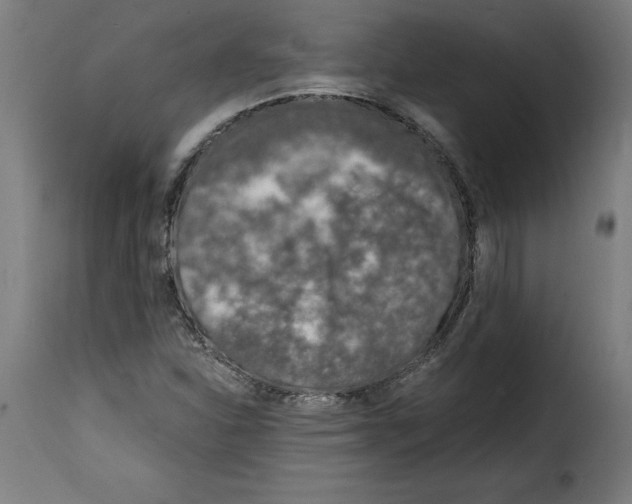 X0000115001310200911231155