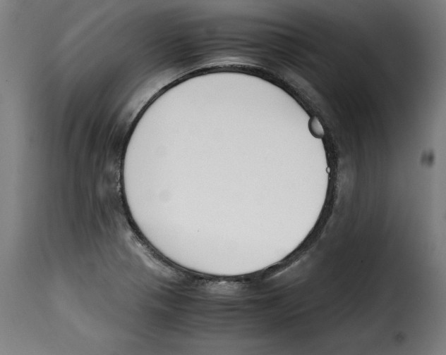 X0000115001321200911231155