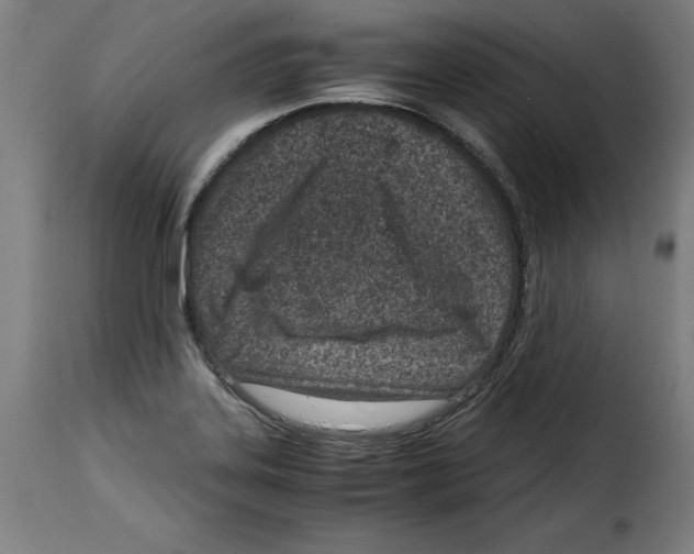 X0000115001323200911231155