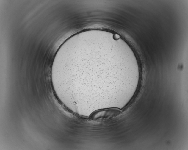 X0000115001329200911231156