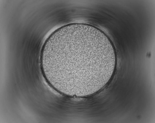 X0000115001331200911231156