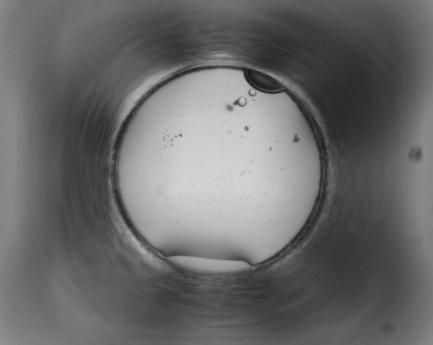 X0000115001333200911231156