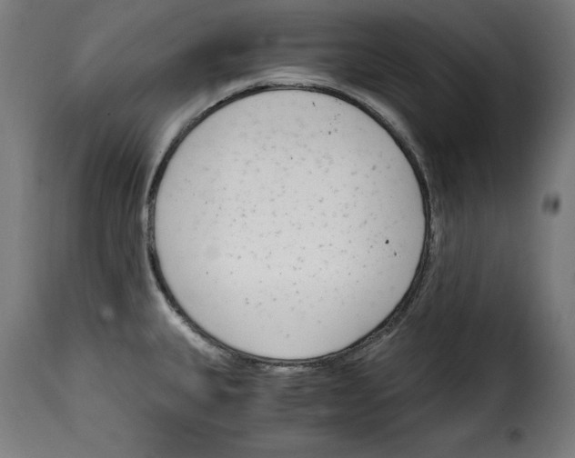 X0000115001335200911231156