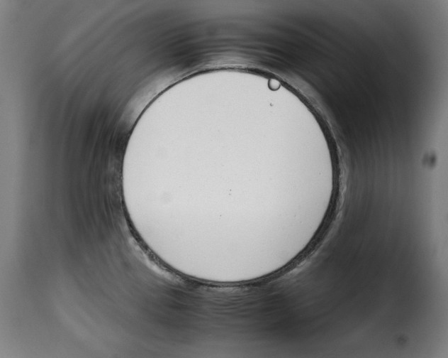 X0000115001337200911231156