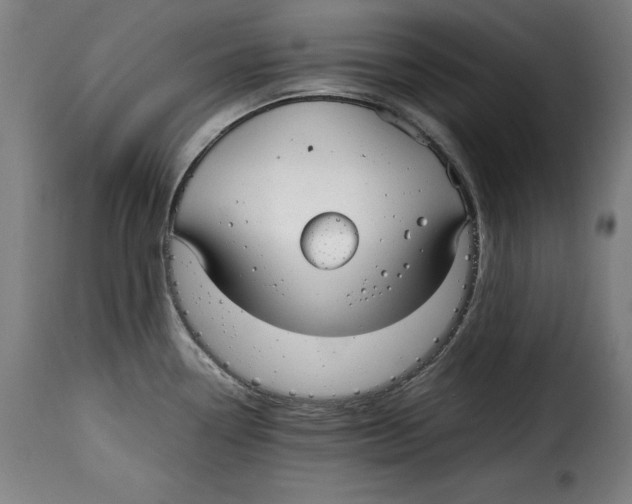 X0000115001338200911231156