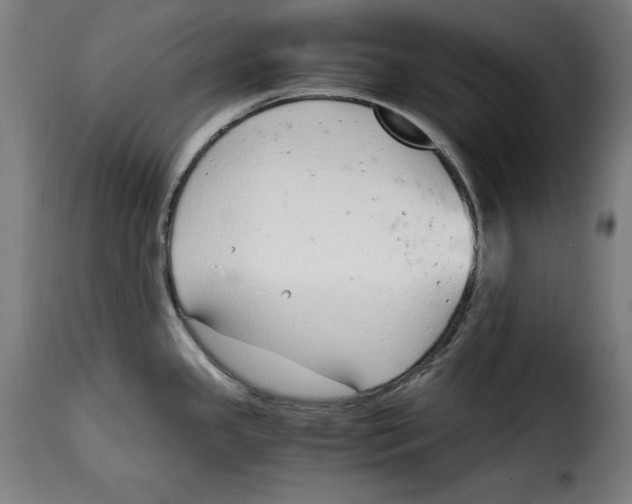 X0000115001341200911231156