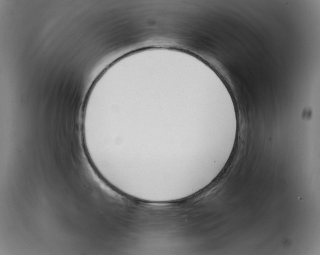 X0000115001343200911231156