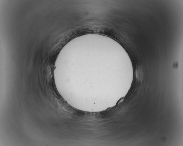 X0000115001347200911231155