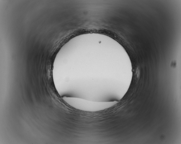 X0000115001348200911231155