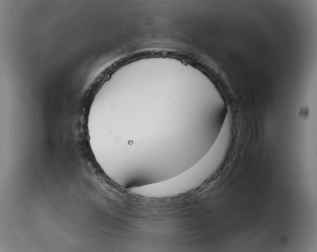 X0000115001352200911231155