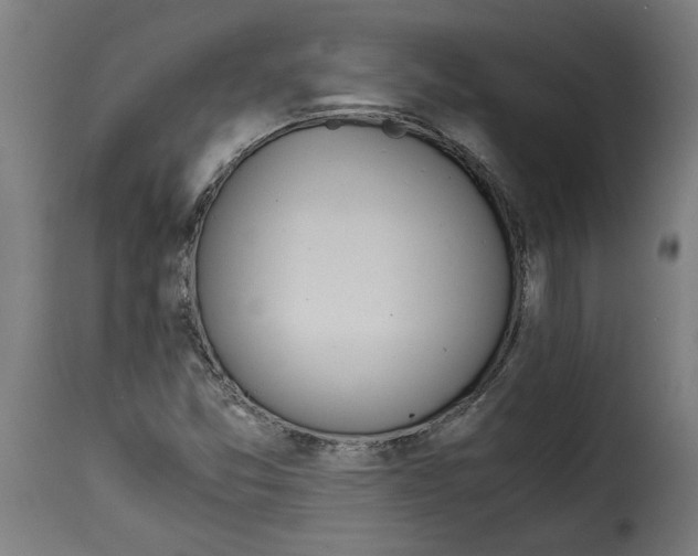 X0000115001357200911231155