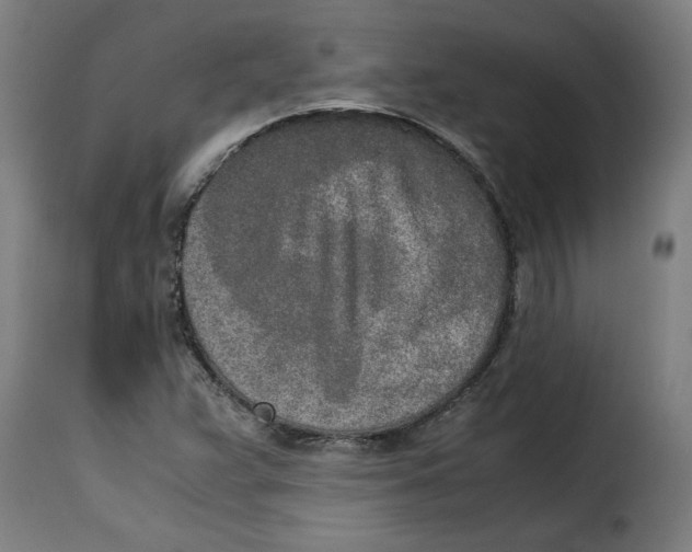 X0000115001359200911231155