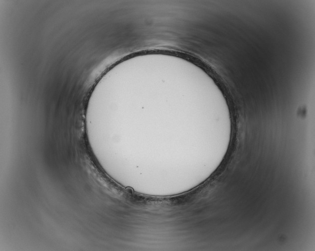 X0000115001363200911231155