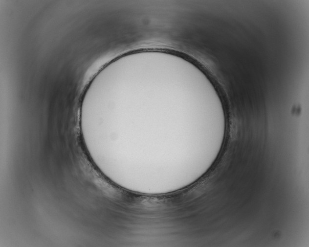 X0000115001366200911231155