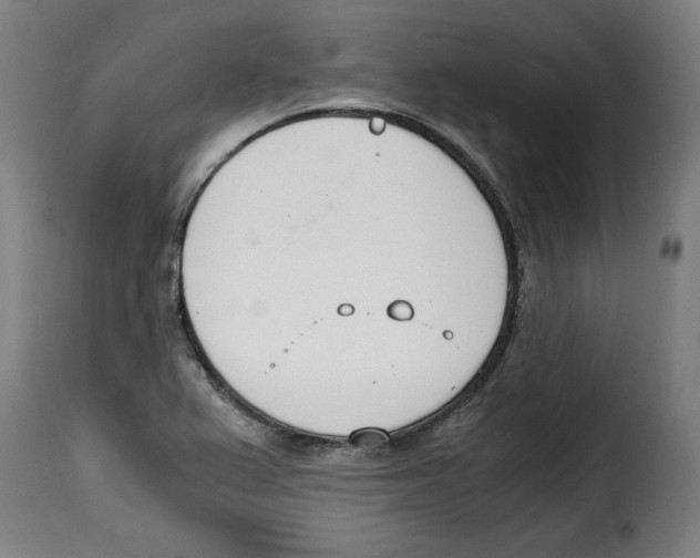 X0000115001367200911231155