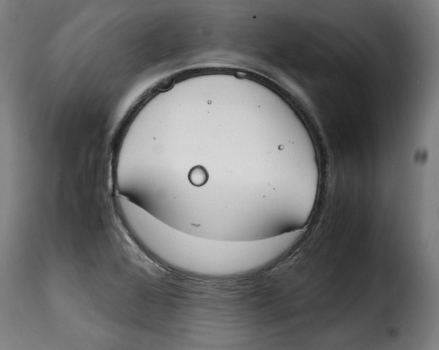 X0000115001368200911231155